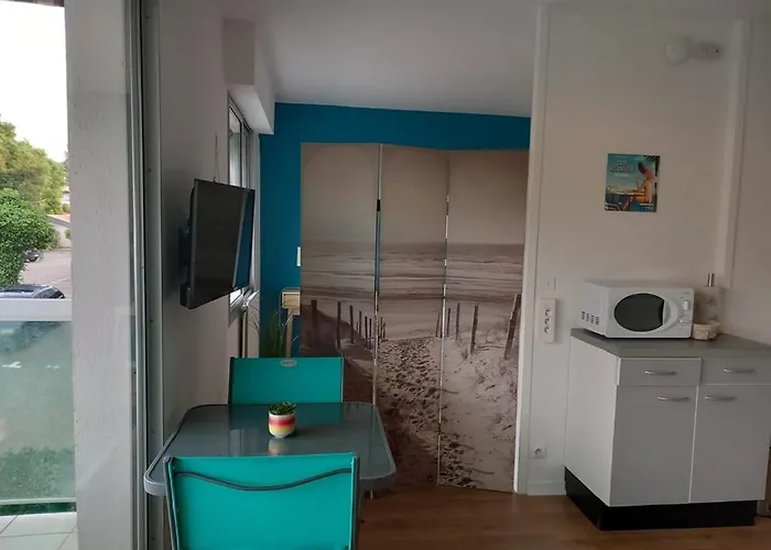 T1 Bis Calme Au Centre Du Moulleau Apartment Arcachon