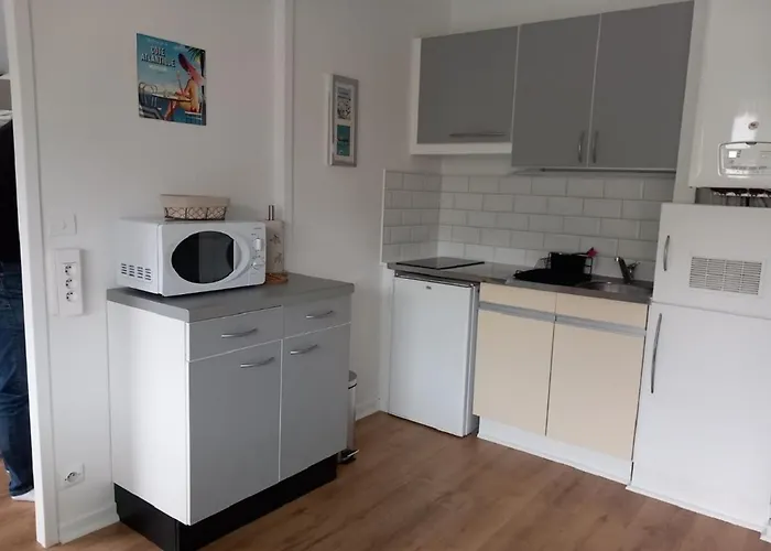 T1 Bis Calme Au Centre Du Moulleau